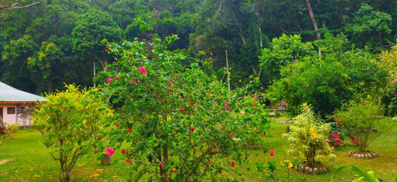 Dan Zoranz Self Catering Guest House La Digue Exterior photo