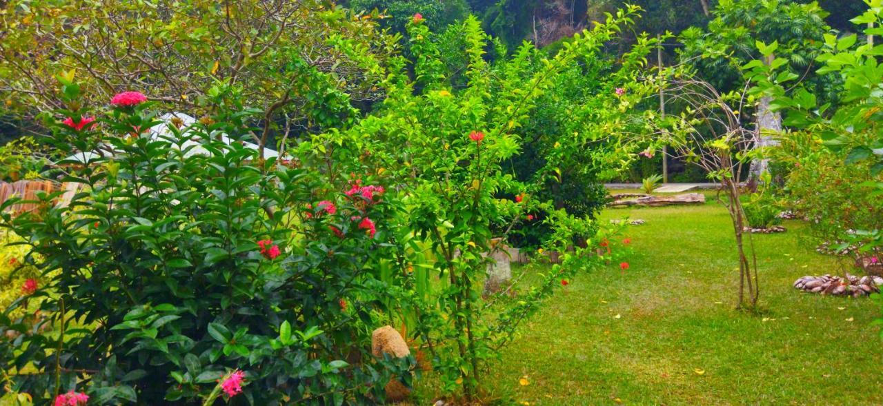 Dan Zoranz Self Catering Guest House La Digue Exterior photo